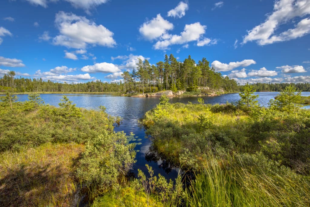 Lake in Glaskogen Sweden